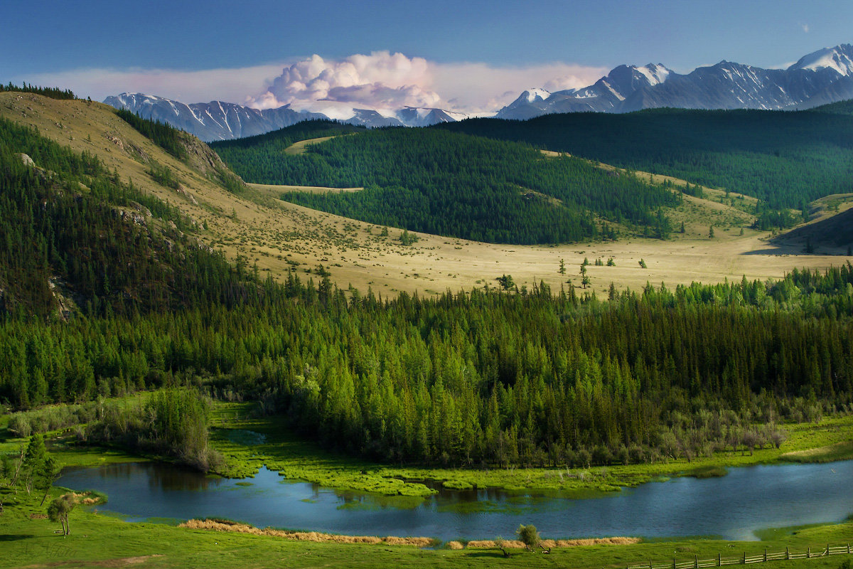 Алтайский край горный Алтай