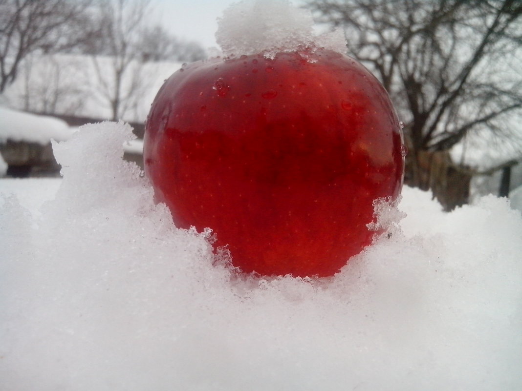Яблоко на снегу*) - Олеся Козуб