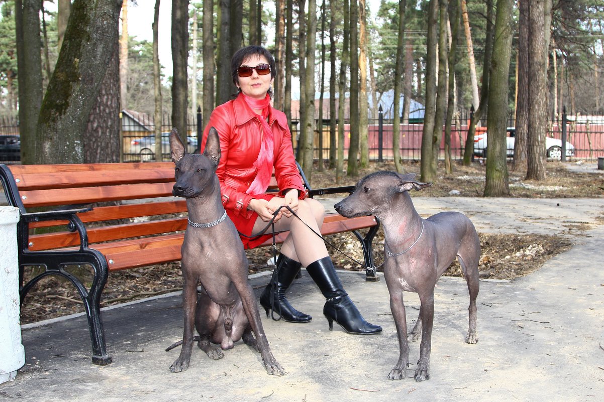 В парке - Екатерина Сидорова