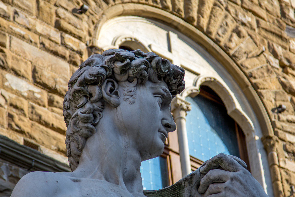 Скульптура Давида (копия перед Палаццо Веккьо) - Andrey Curie