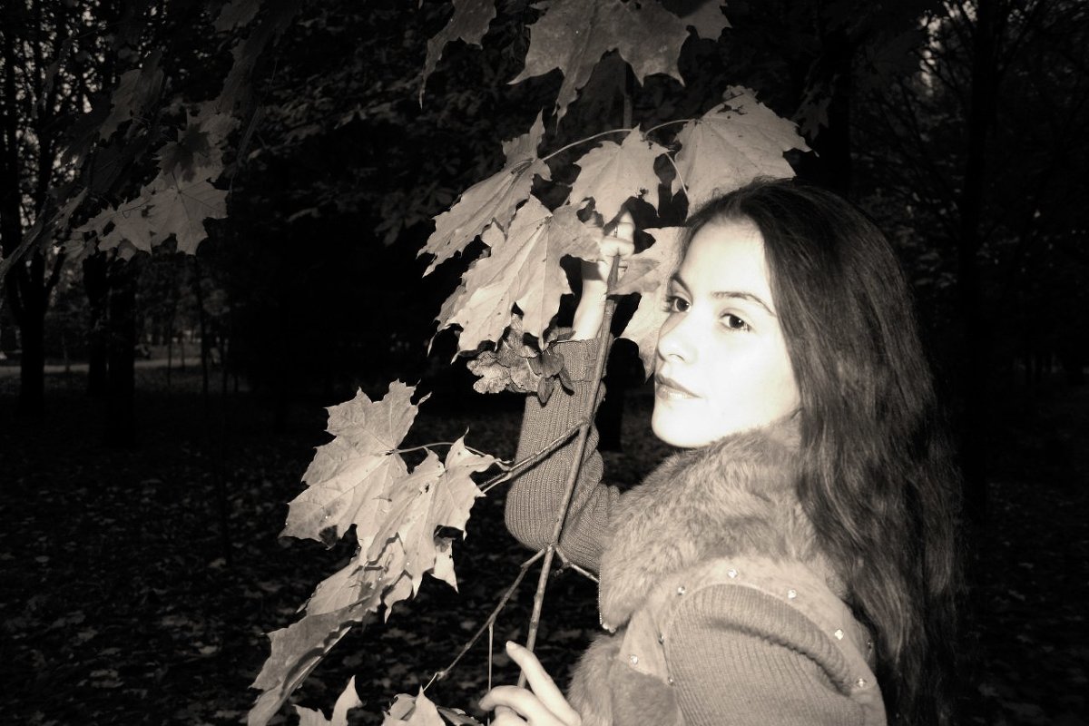 Осень - Marina Emelyanova 