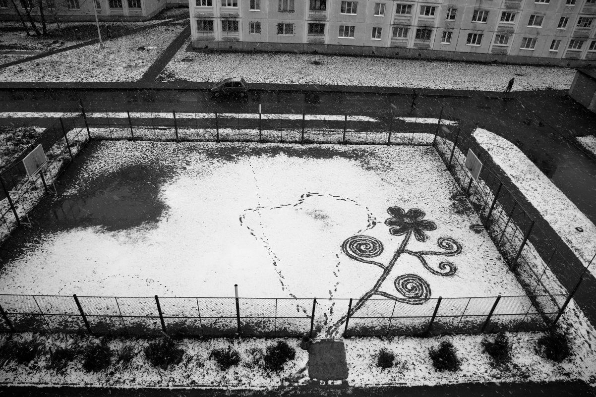 Первый снег - Наталья Тривайлова