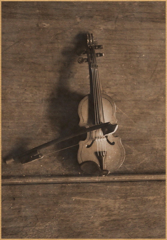 Скрипка - Лилия П.