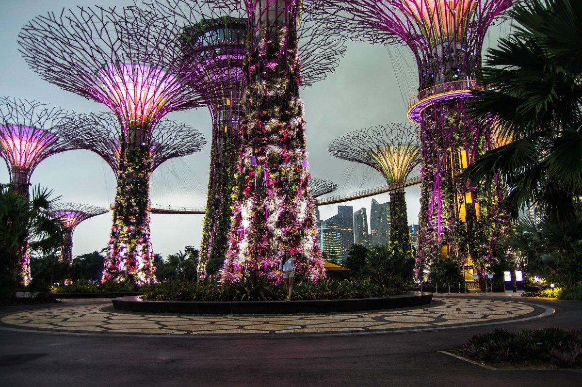 Gardens By the Bay - Аня 