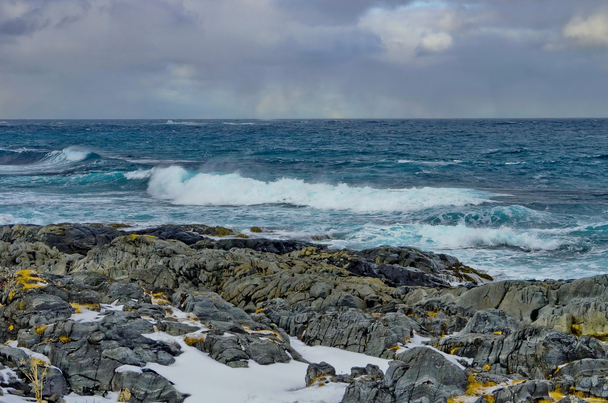 Северный ледовитый океан - Ирэна Мазакина