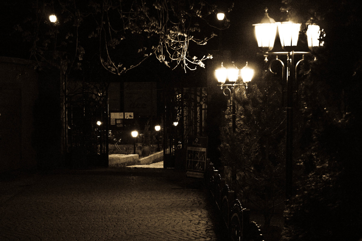 Ночь, улица, фонарь... - Анастасия Матвиец