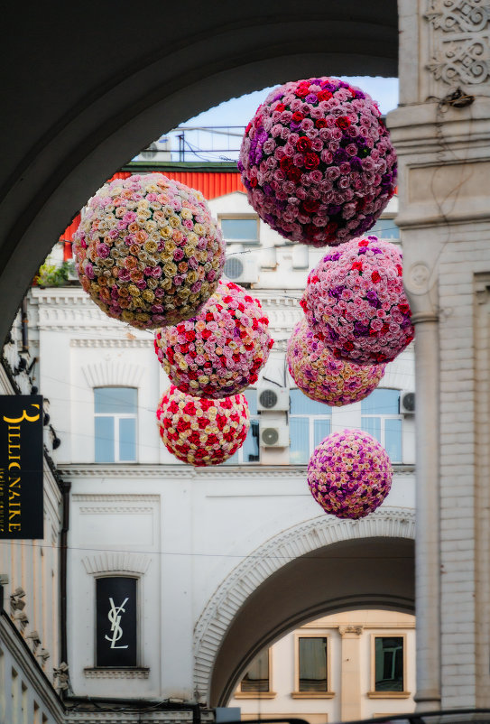 Воздушно-цветочные шарики - Игорь Лариков