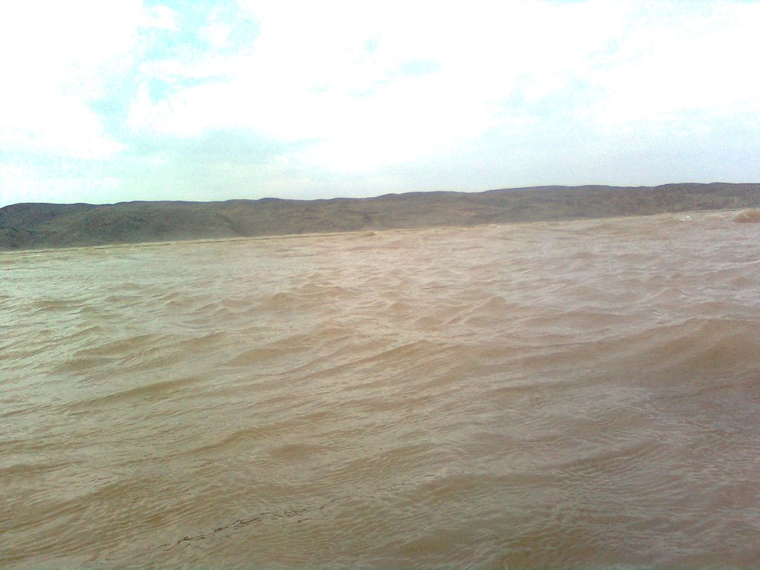 Река Амударя - Зарина Азадова