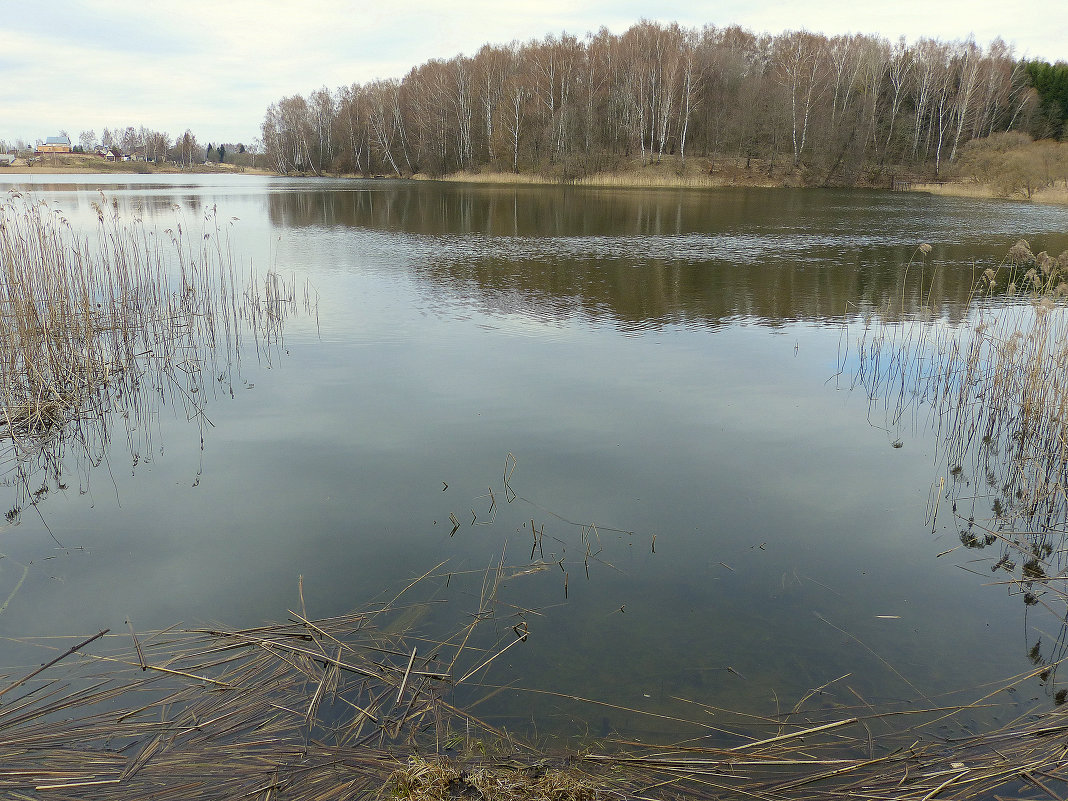 Озеро в Талашкино. - Игорь 