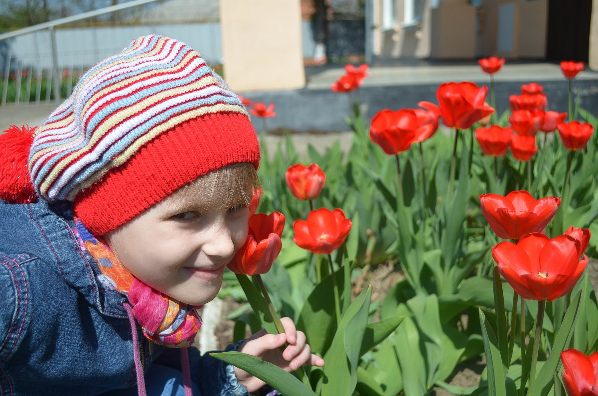 тюльпаны - Наташа Муртазаева