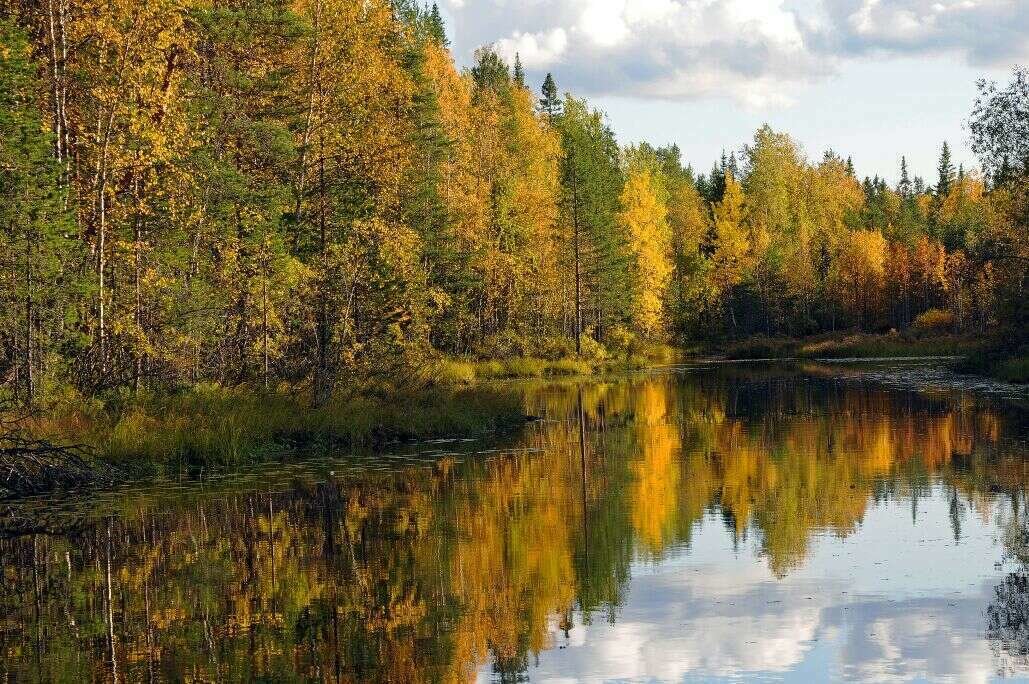 отражение - виталий 