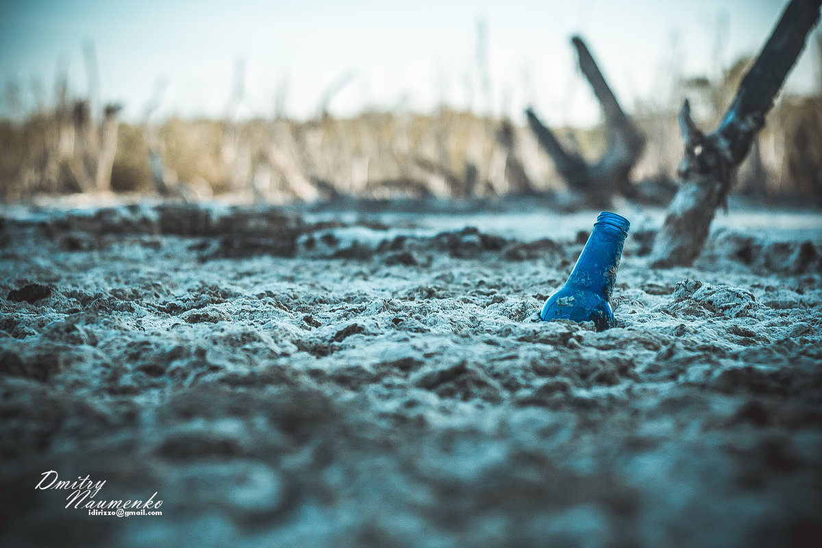 Бутылка в высохшем озере - Дмитрий Иванов