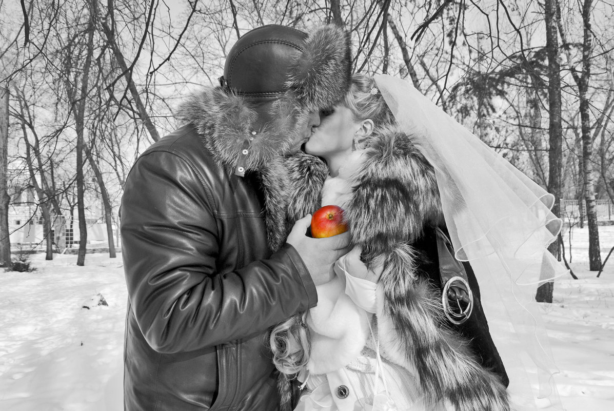 Зимняя свадьба - Elena Vershinina
