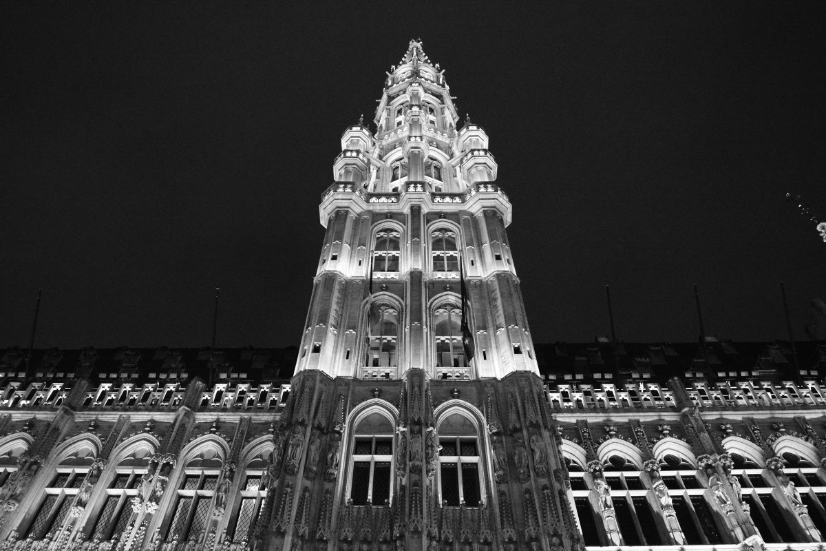 Bruxelles - Hotel de ville (Grand Place) - @ndrei Дмитриевич