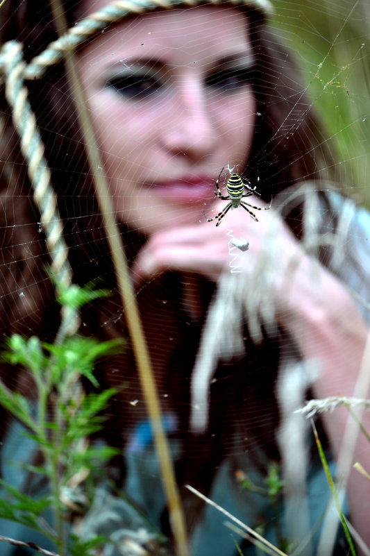 spider - SvetLana 