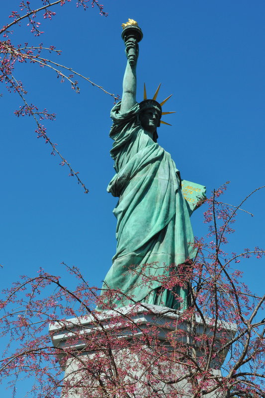 Статуя Свободы на о. Одайба - Ева Такус 