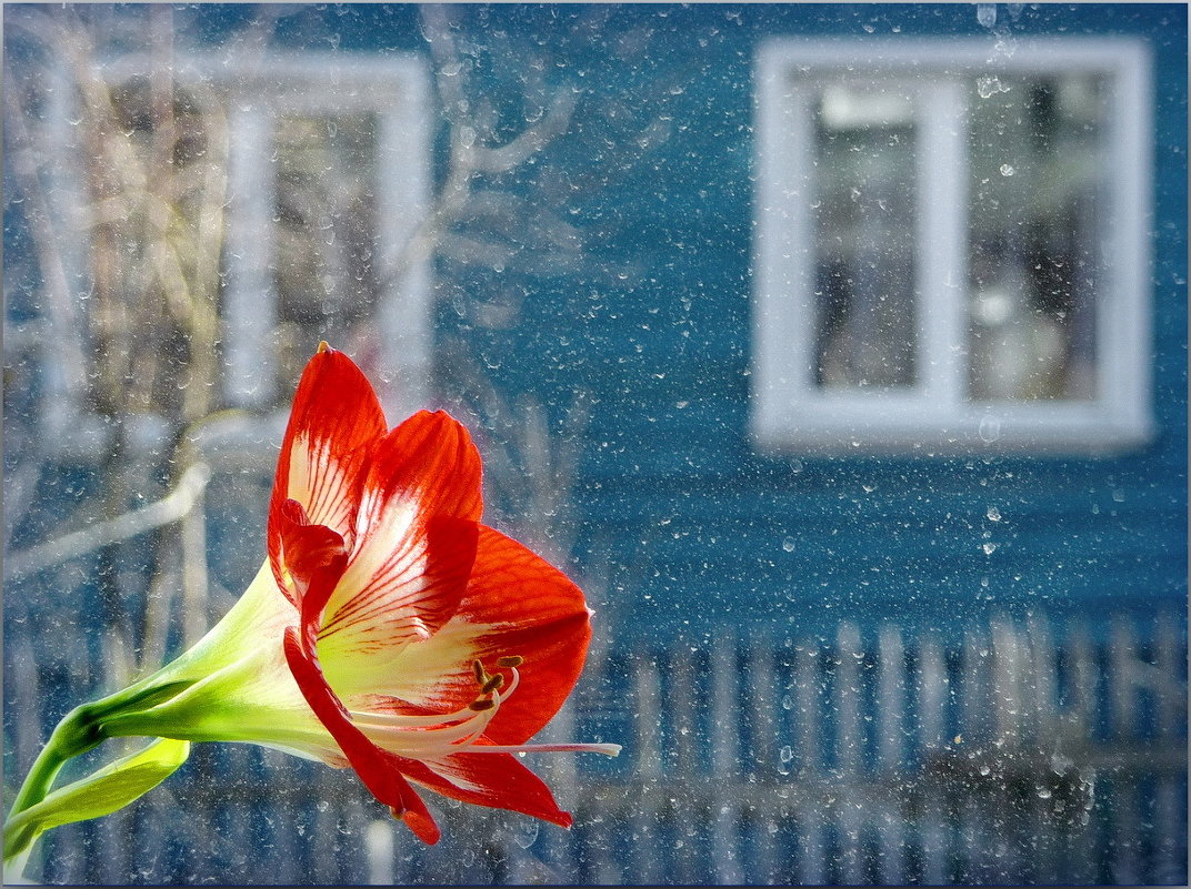 Весна на дворе! - Владимир Шошин