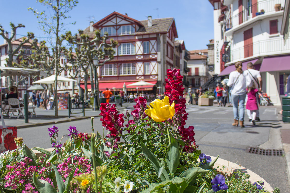 San Juan de Luz, Francia - Владимир Бадюля