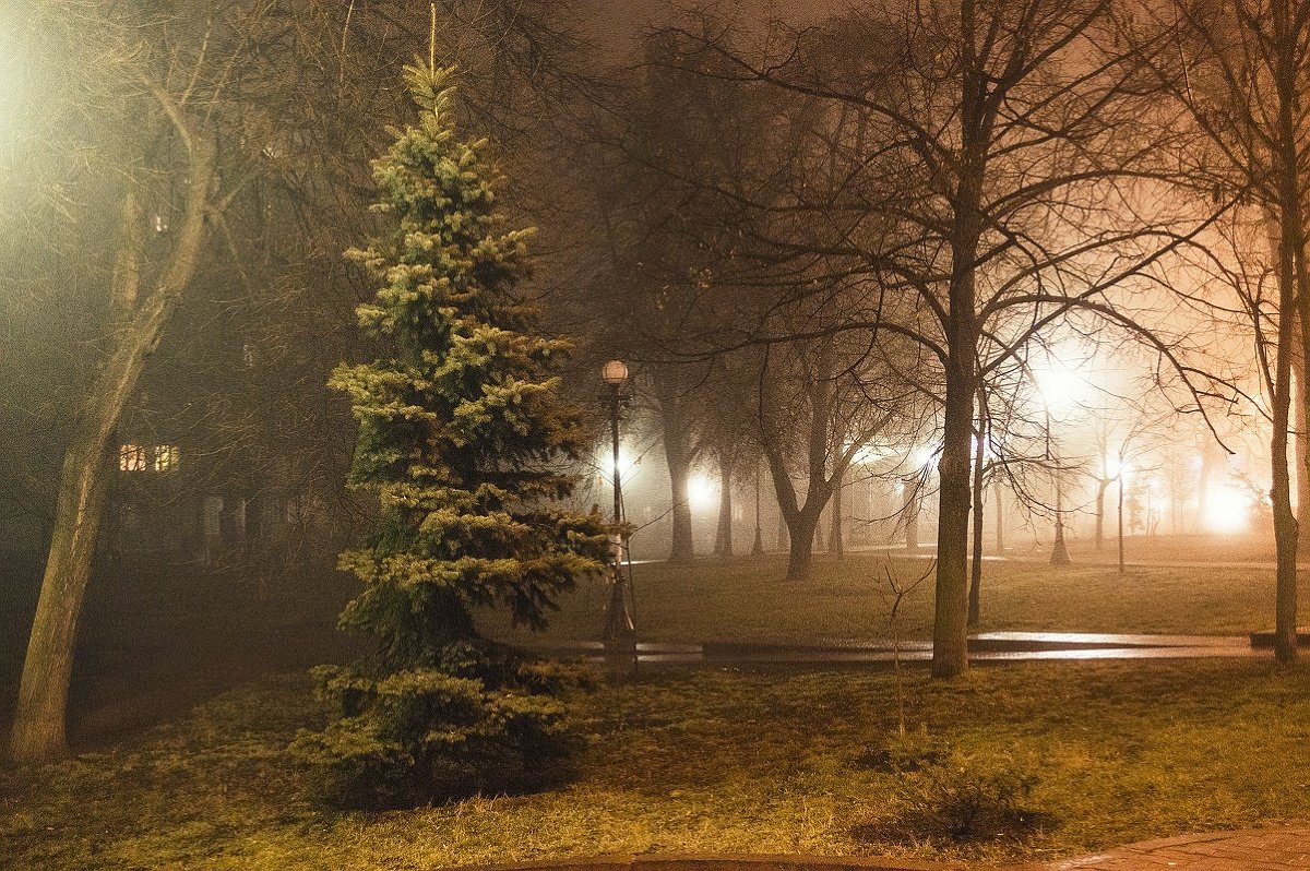 Вечер в тумане - Роман Романенко