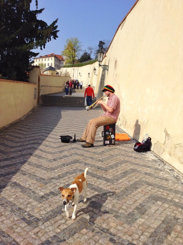 Уличный музыкант и его хвостатый помощник - Ирина Бирюкова