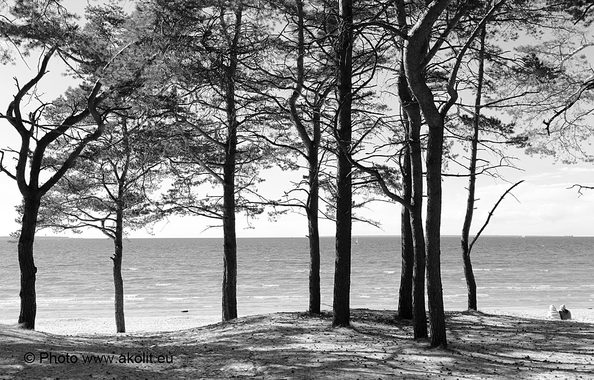 Fotostuudio Akolit, Tallinn - Аркадий  Баранов Arkadi Baranov