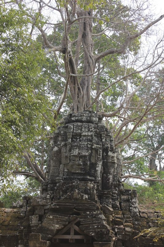 Камбоджа - Семен 