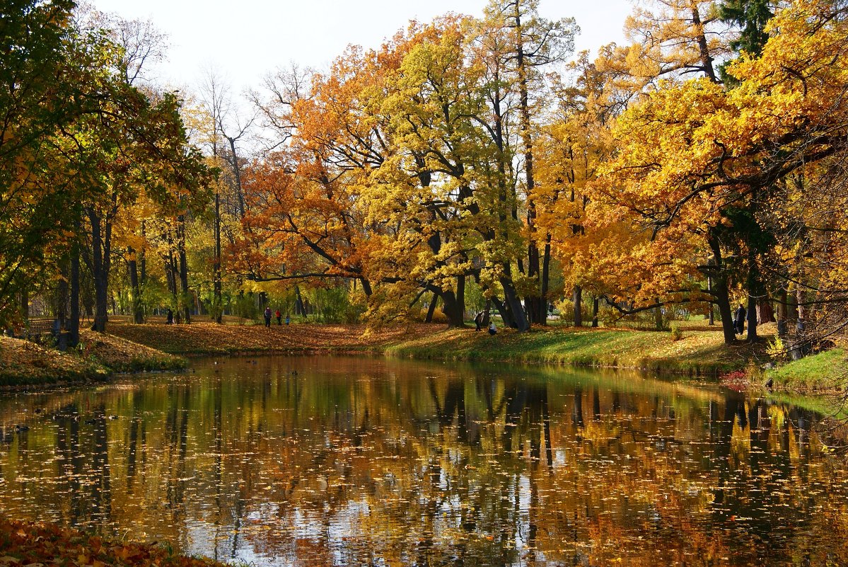 Осень - Наталия Короткова