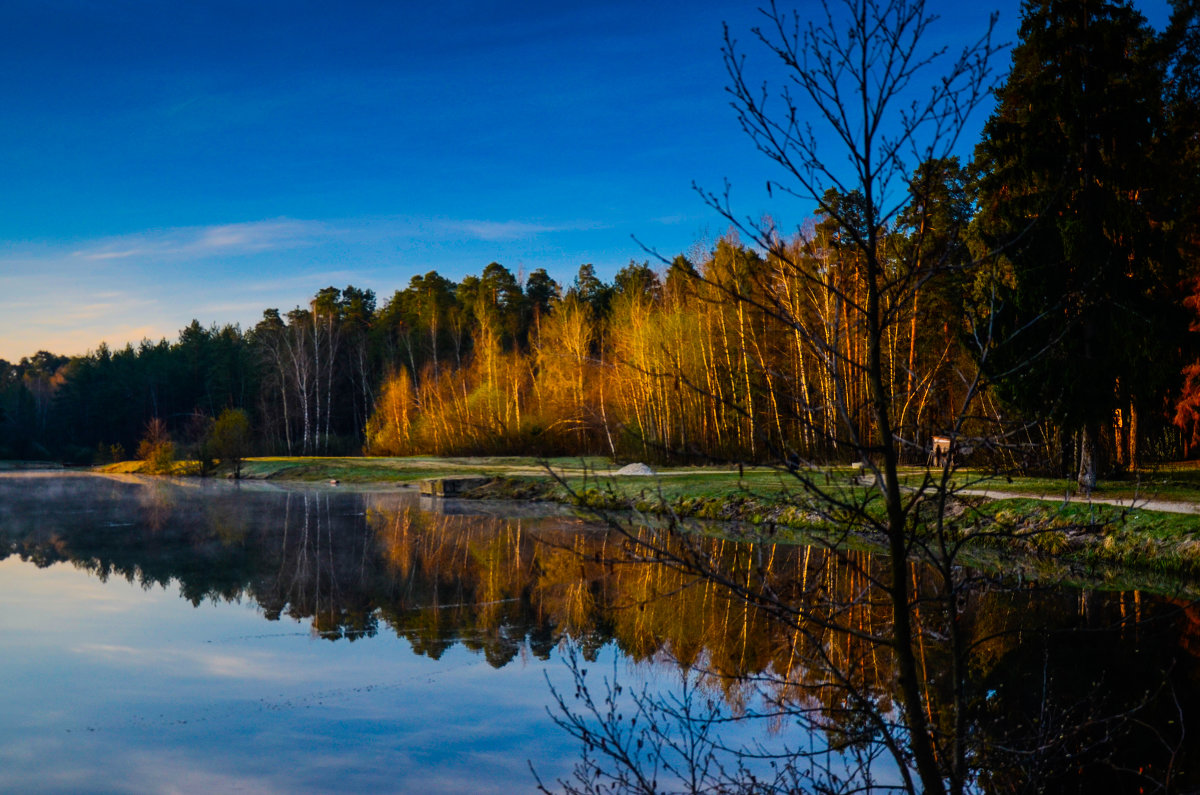Рассвет на озере - Елена Решетникова