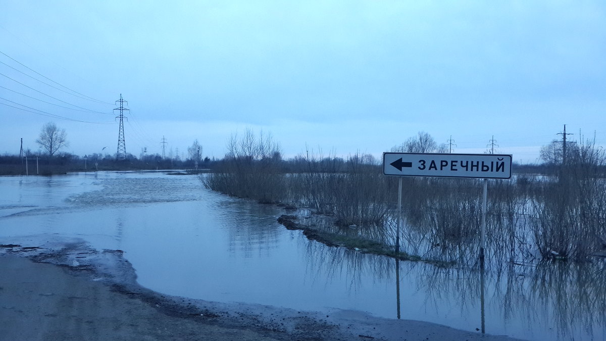 Заречный - Антон Домбровский