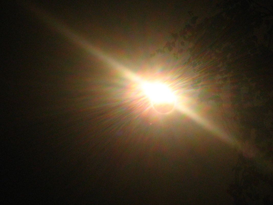 Солнечное затмение 2008 - Katerina 