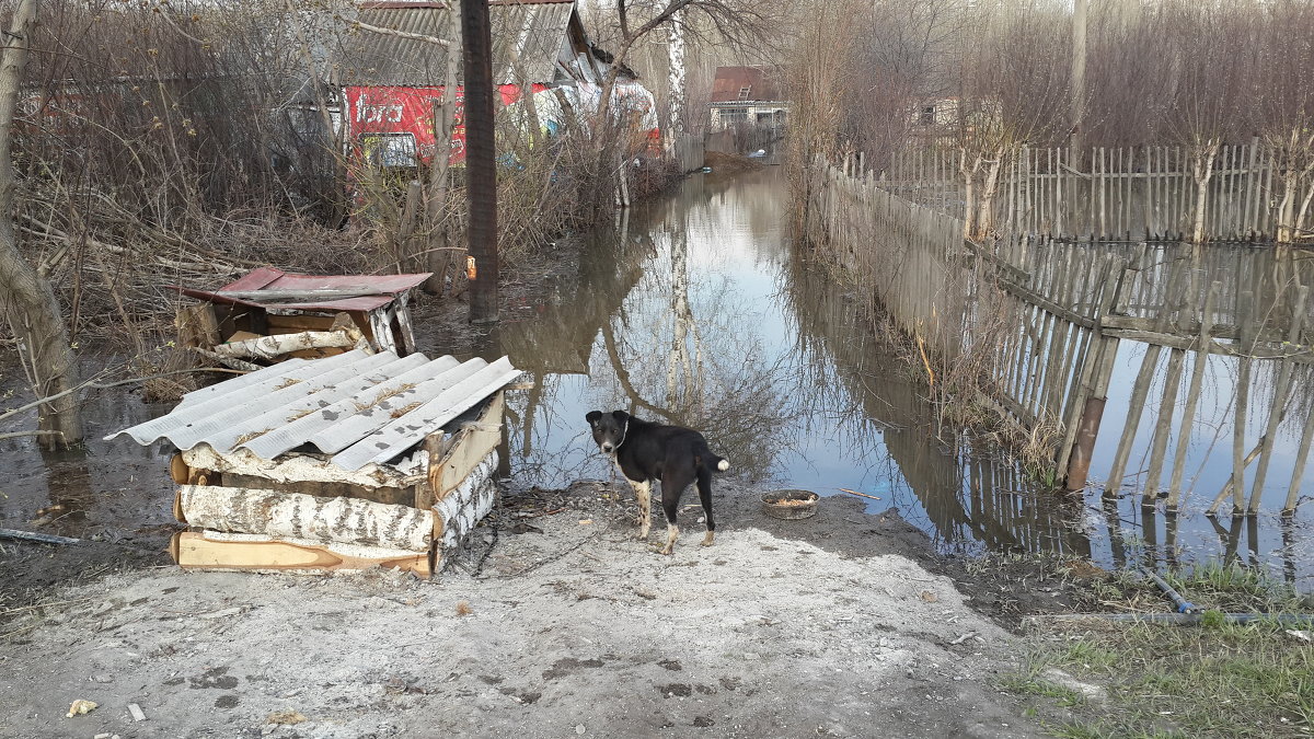 Потоп,Заречный - Антон Домбровский