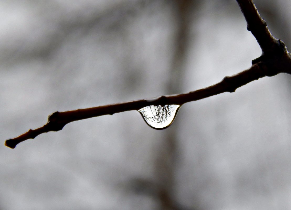 Сквозь воду - Юлия 