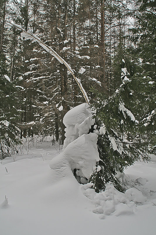 Снежные скульптуры людей из снега в лесу. - Валерий. Талбутдинов.