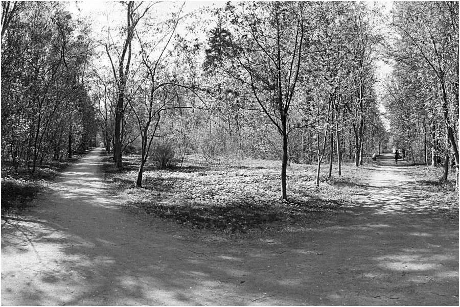 весенний парк - Марина Буренкова