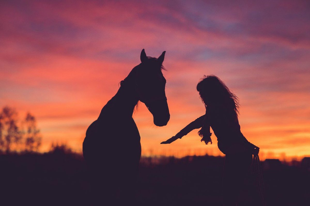 Лошадь на закате - Irina Rykova