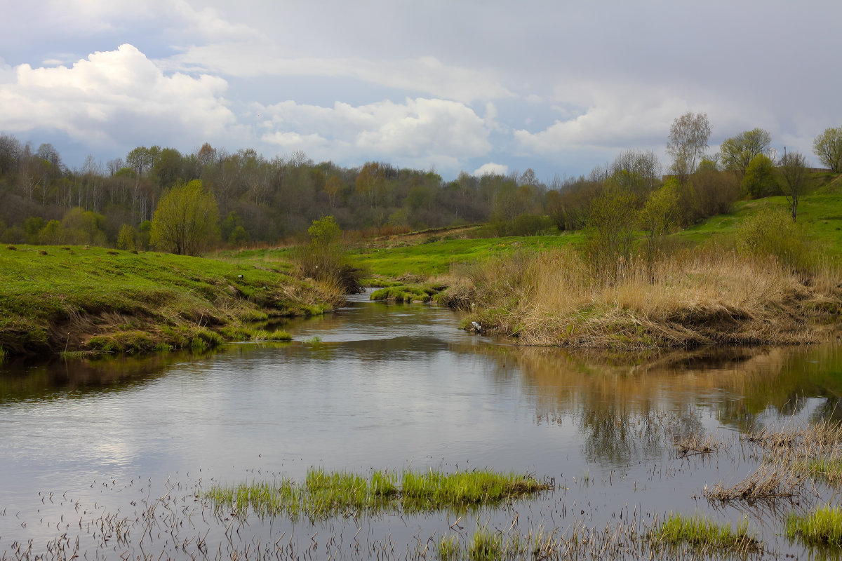 Весна на реке Тосна - Денис Матвеев