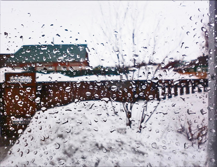 Зимний дождь - Августина Ли