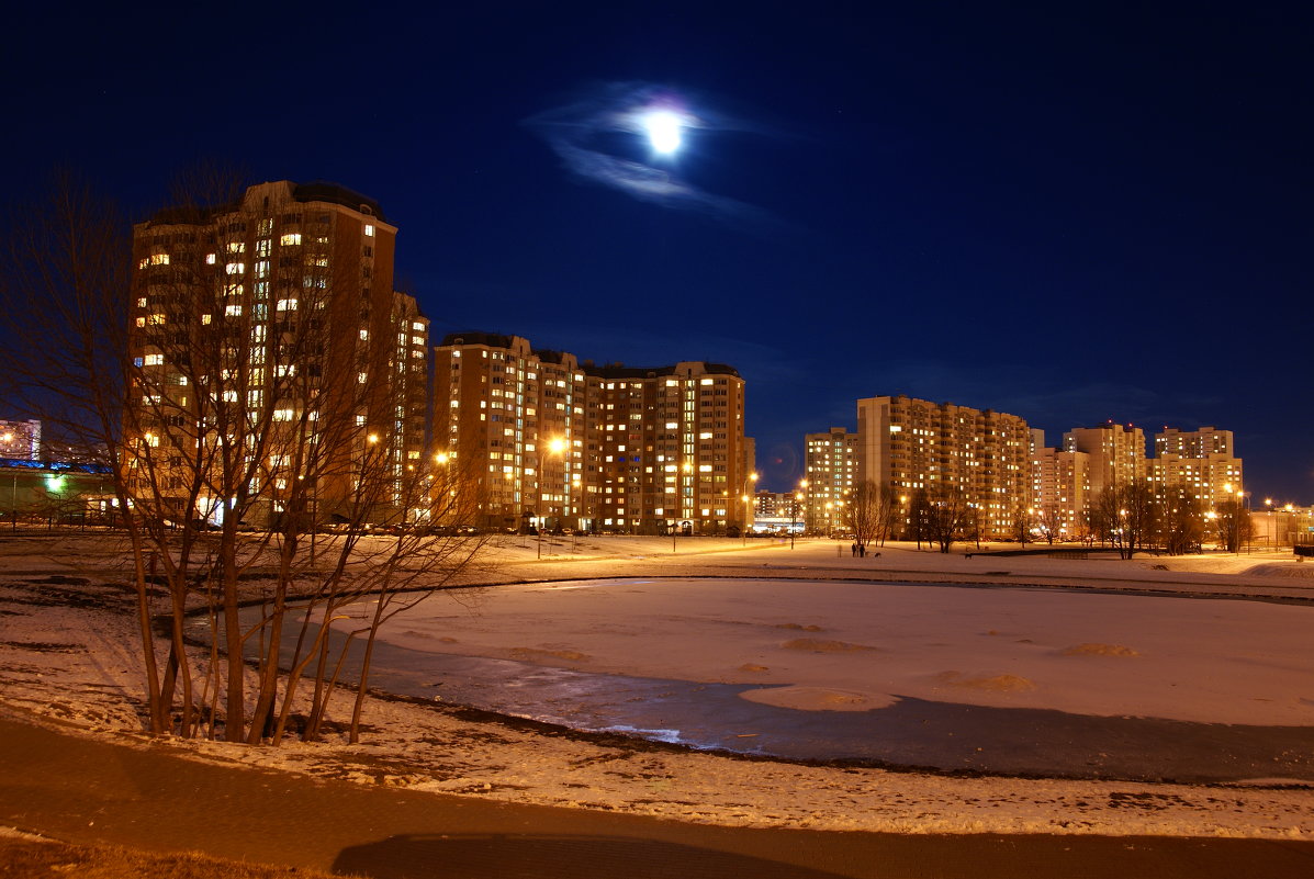Лунная ночь в Южном Бутово - Алексей Окунеев