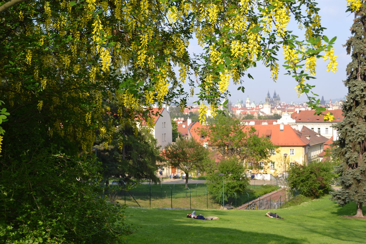 Прага весной - Светлана 
