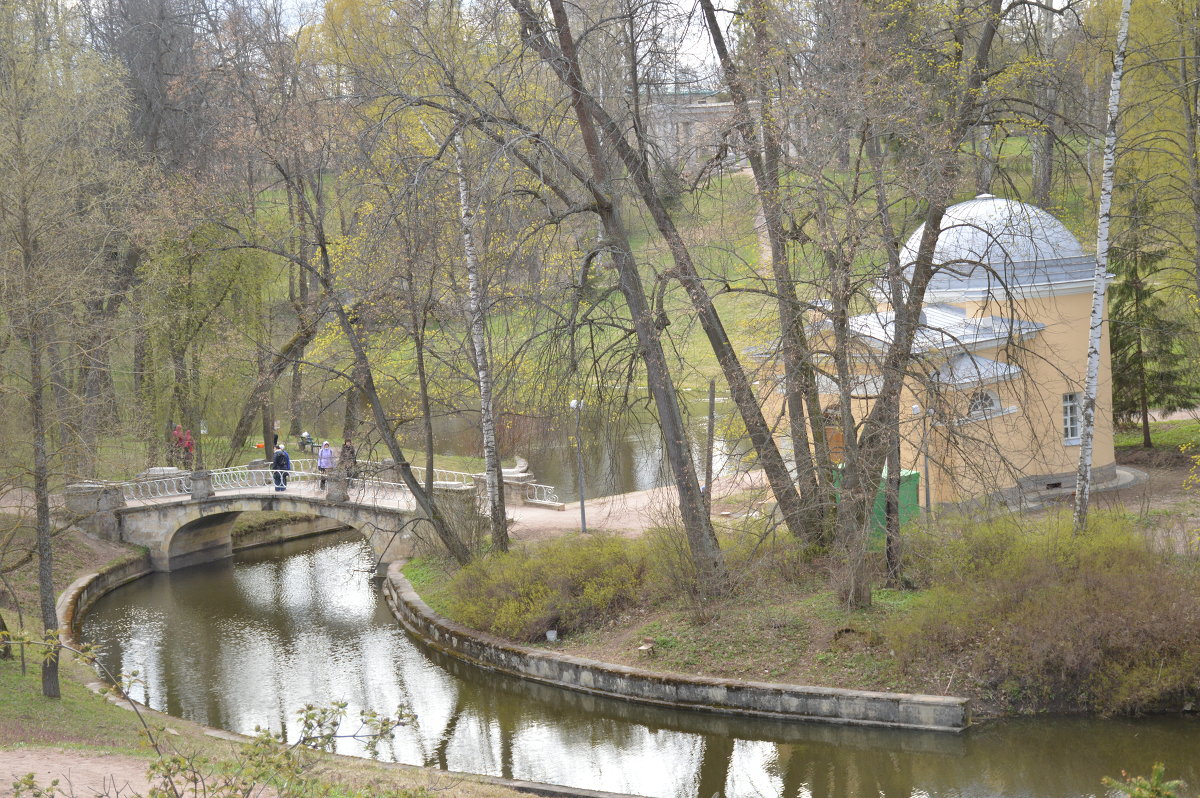 Павловский парк - Светлана Шарафутдинова