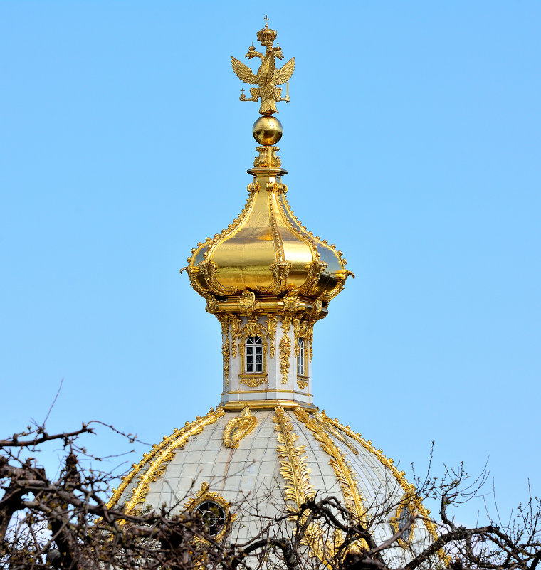 Петродворец - константин Меркулов