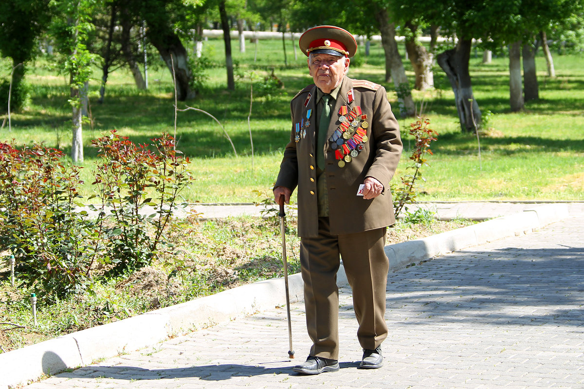 Прогулка ветерана - Аркадий Краснояров