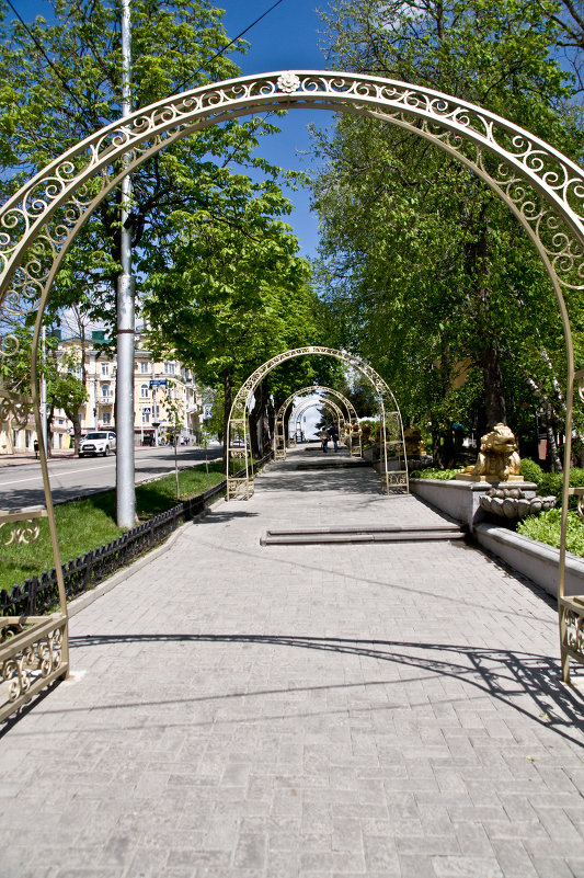 Ставрополь цветочные арки - Дарья 