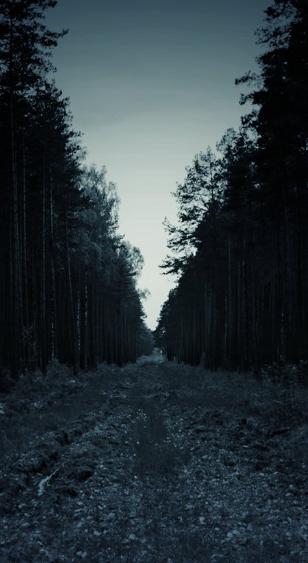 Lyrical darkness - Polina Akulenko