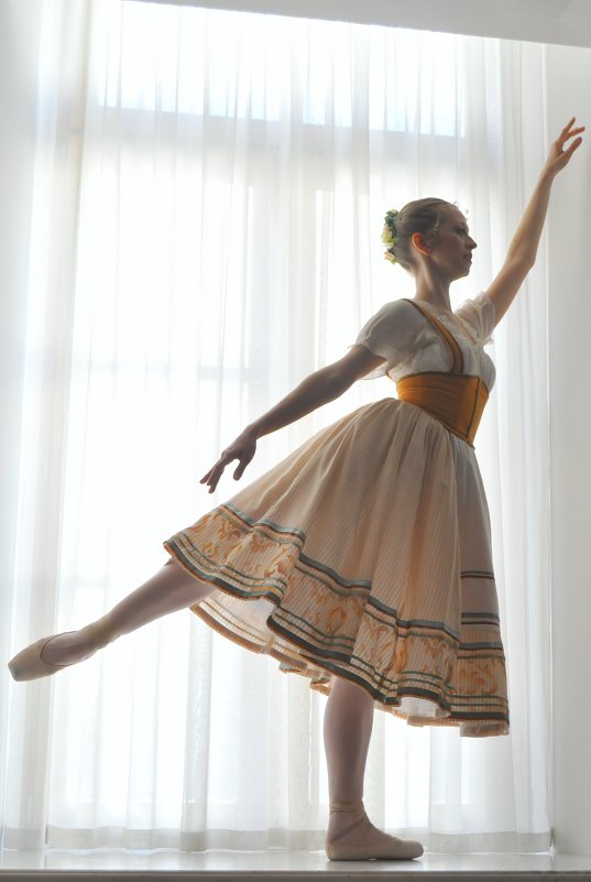 Силуэт балерины - Vera 