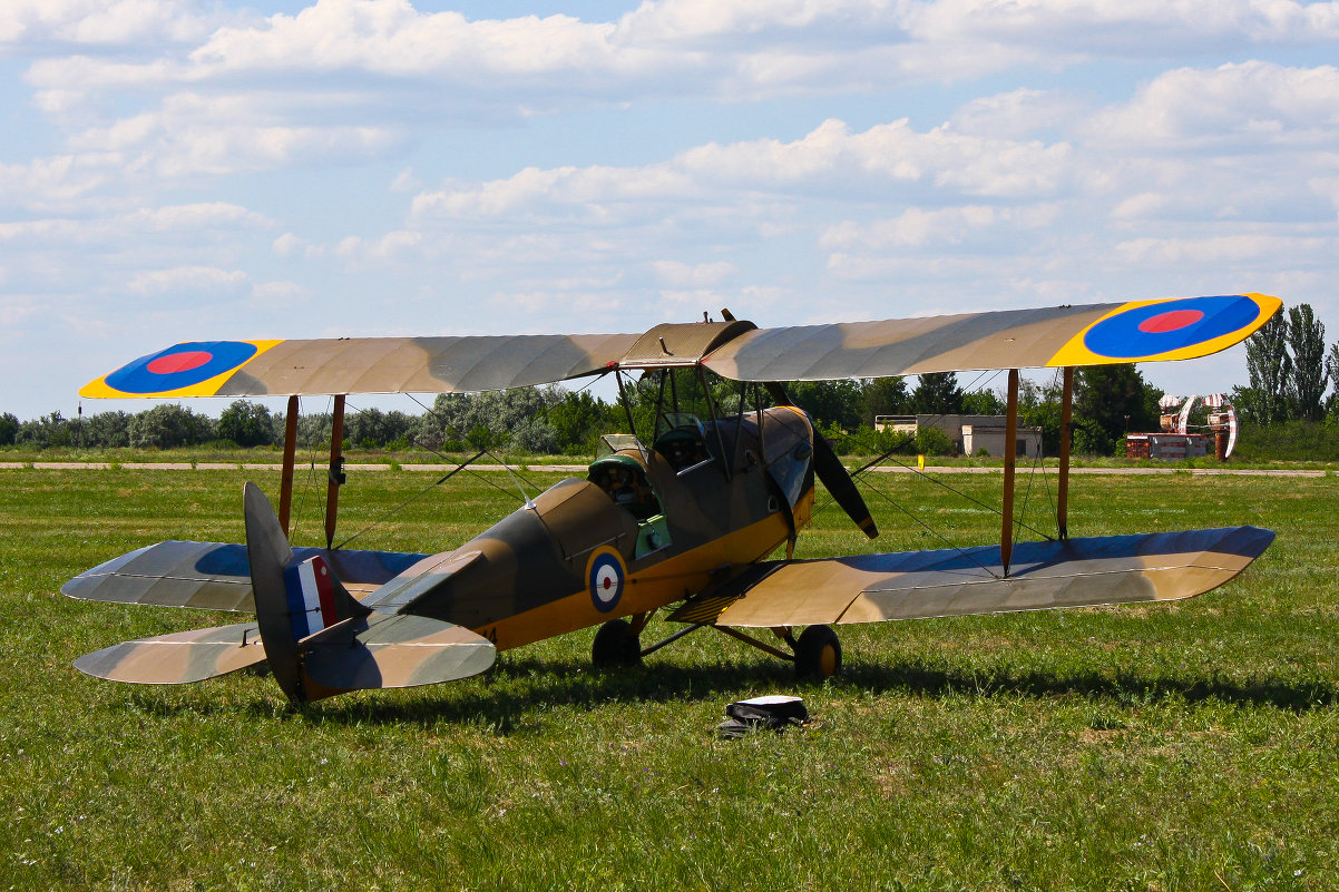 DH.82B Queen Bee - Виктория Мацук