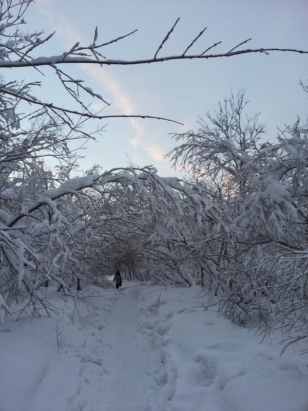 Волшебный парк - Лариса Добрякова