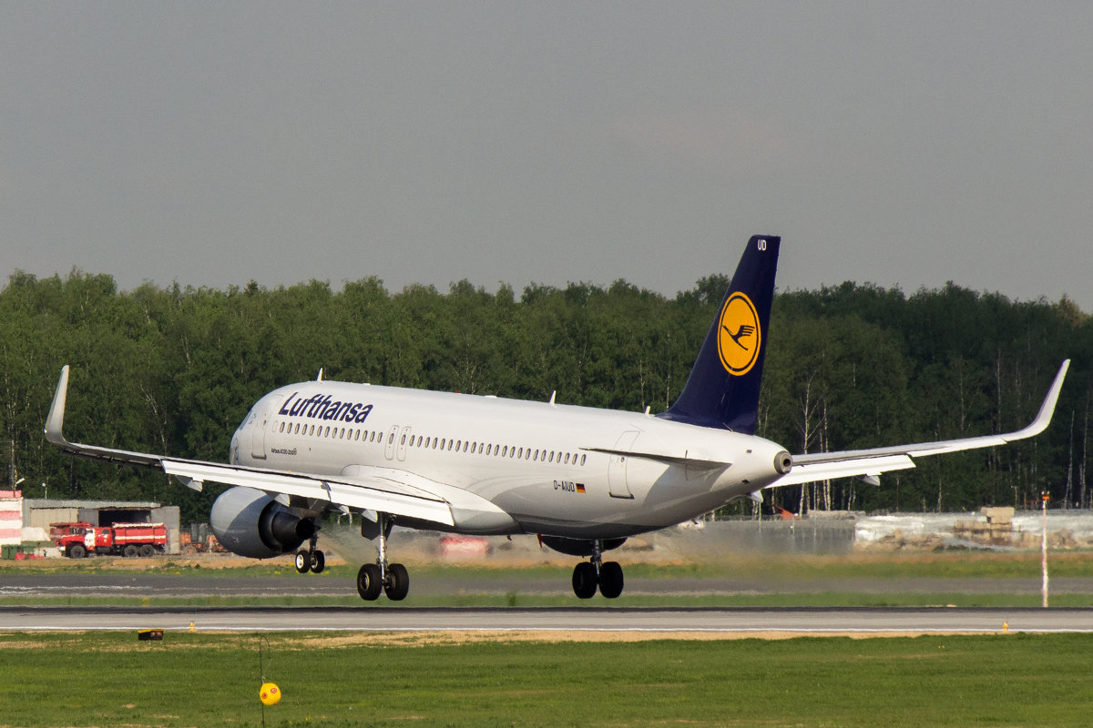 Airbus A320 - Lufthansa - Денис Атрушкевич