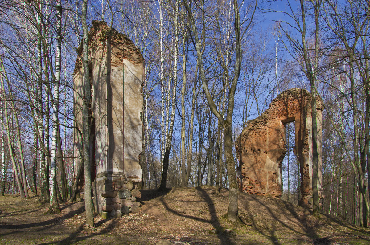 Руины замка Тышкевичей - Владислав Писаревский