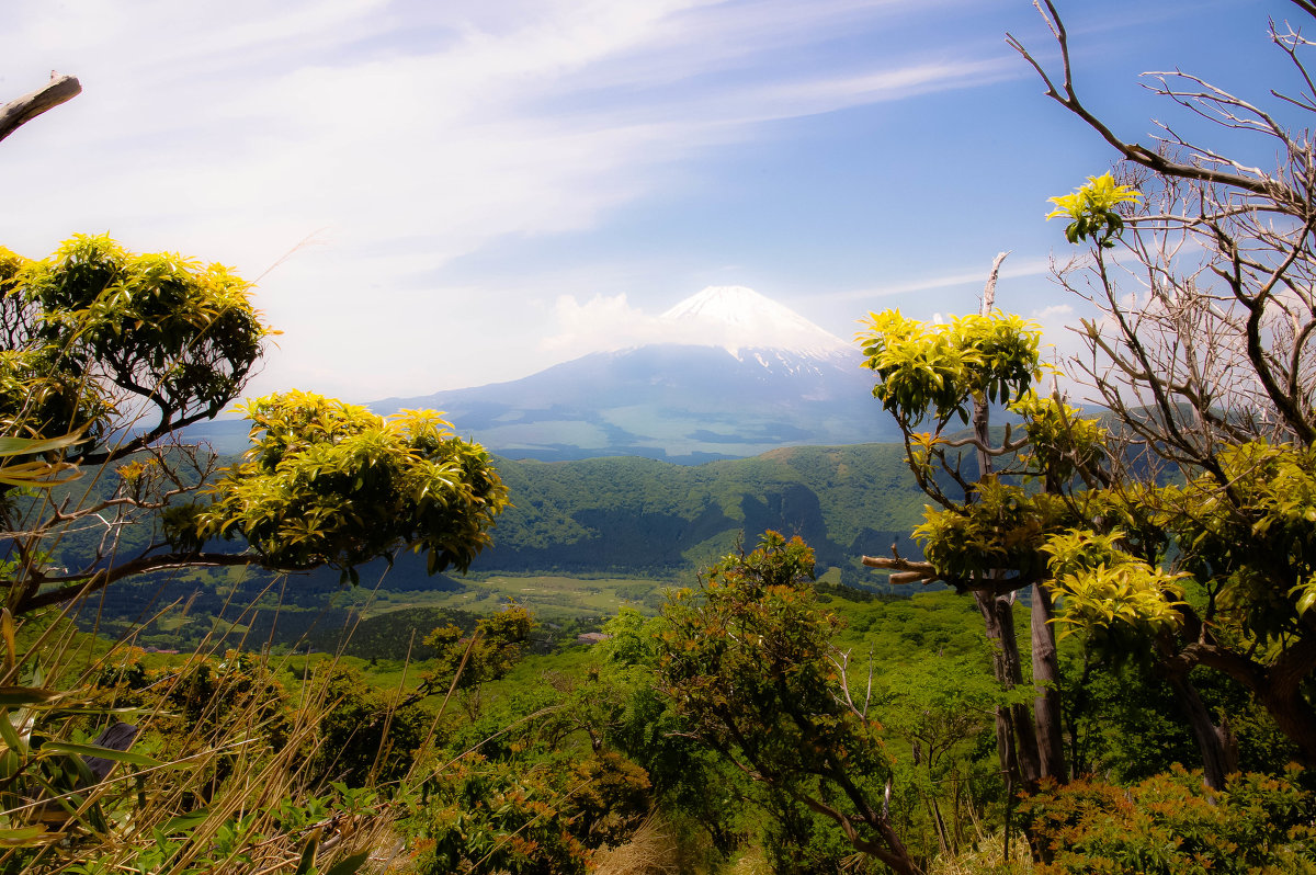 View of Fujiyama from hiking trail to the top of Kamiyama - Nina Uvarova